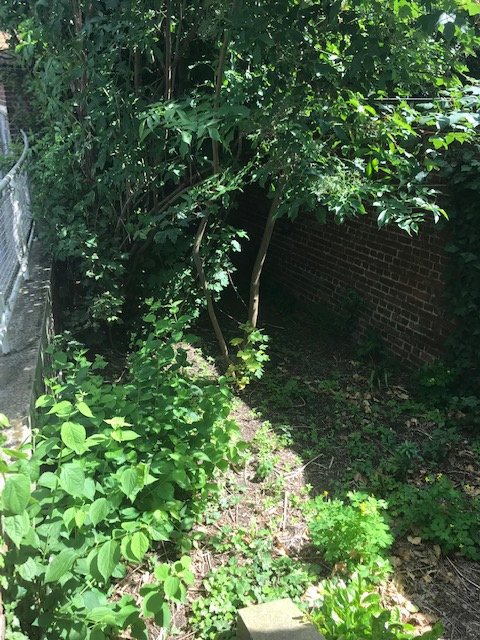 2166-ACTA-IMMOBILIER-Douai-VENTE-9